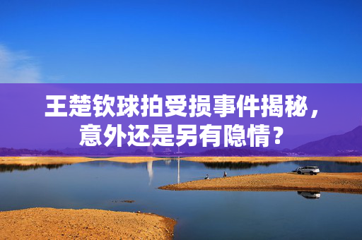 王楚钦球拍受损事件揭秘，意外还是另有隐情？