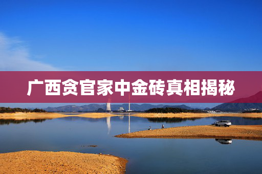 广西贪官家中金砖真相揭秘