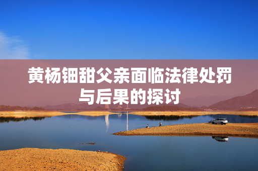 黄杨钿甜父亲面临法律处罚与后果的探讨