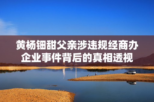 黄杨钿甜父亲涉违规经商办企业事件背后的真相透视