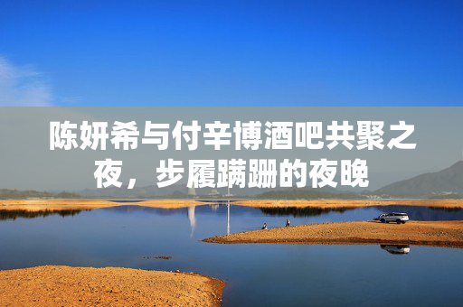 陈妍希与付辛博酒吧共聚之夜，步履蹒跚的夜晚