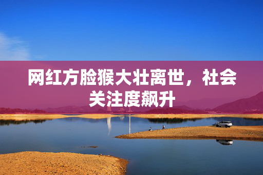 网红方脸猴大壮离世，社会关注度飙升