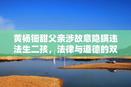 黄杨钿甜父亲涉故意隐瞒违法生二孩，法律与道德的双重审视