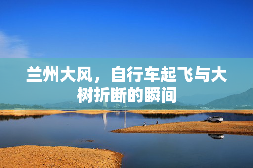 兰州大风，自行车起飞与大树折断的瞬间