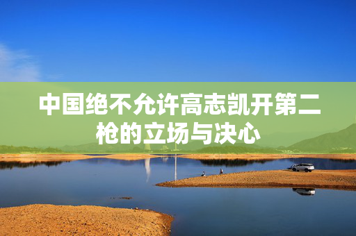 中国绝不允许高志凯开第二枪的立场与决心