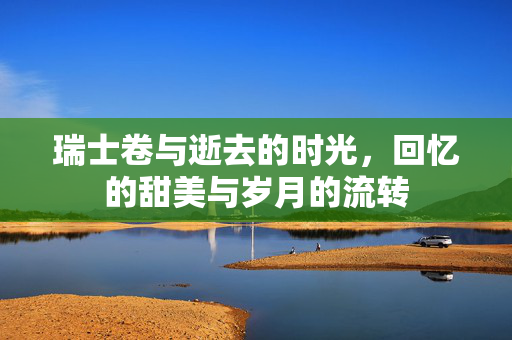 瑞士卷与逝去的时光，回忆的甜美与岁月的流转