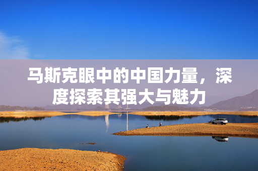 马斯克眼中的中国力量，深度探索其强大与魅力