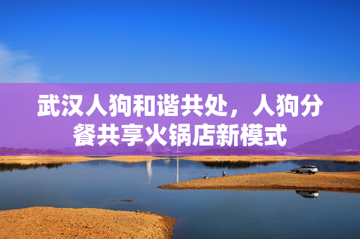 武汉人狗和谐共处，人狗分餐共享火锅店新模式