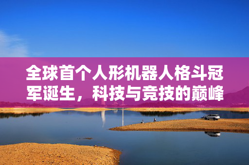 全球首个人形机器人格斗冠军诞生，科技与竞技的巅峰对决