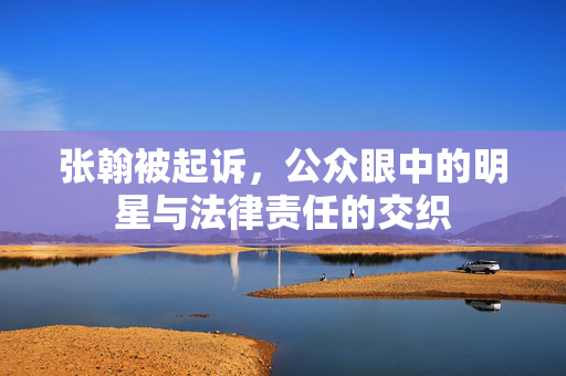 张翰被起诉，公众眼中的明星与法律责任的交织