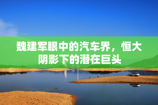 魏建军眼中的汽车界，恒大阴影下的潜在巨头