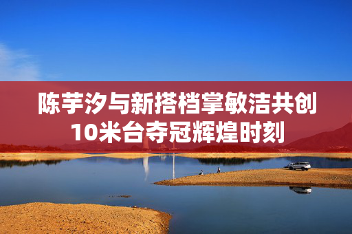 陈芋汐与新搭档掌敏洁共创10米台夺冠辉煌时刻