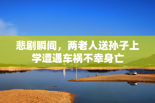 悲剧瞬间，两老人送孙子上学遭遇车祸不幸身亡
