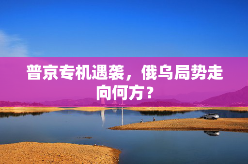 普京专机遇袭，俄乌局势走向何方？