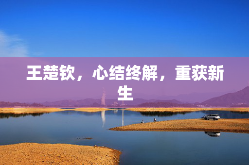 王楚钦，心结终解，重获新生