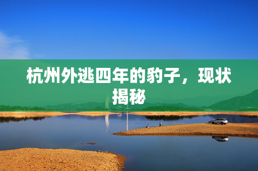 杭州外逃四年的豹子，现状揭秘