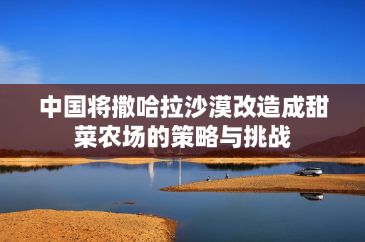 中国将撒哈拉沙漠改造成甜菜农场的策略与挑战