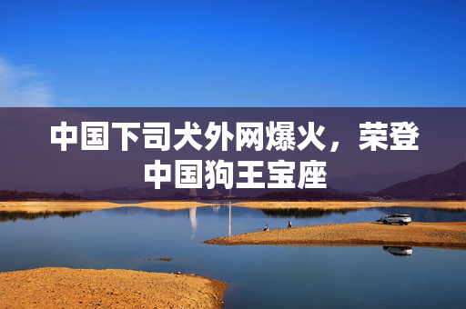 中国下司犬外网爆火，荣登中国狗王宝座