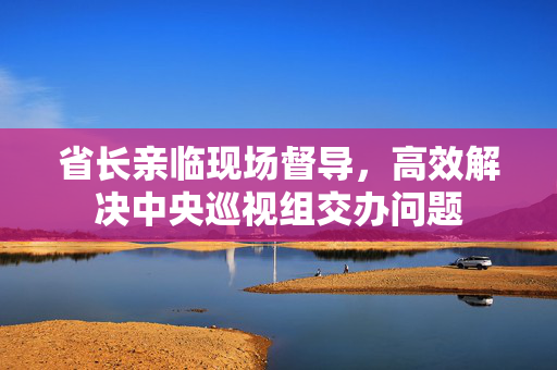 省长亲临现场督导，高效解决中央巡视组交办问题