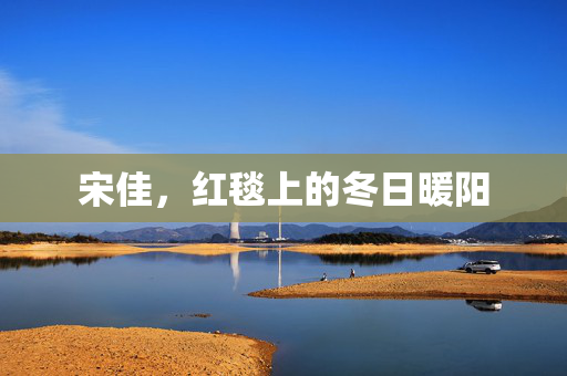 宋佳，红毯上的冬日暖阳