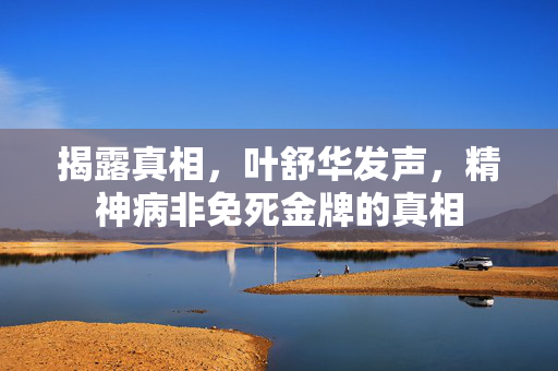 揭露真相，叶舒华发声，精神病非免死金牌的真相