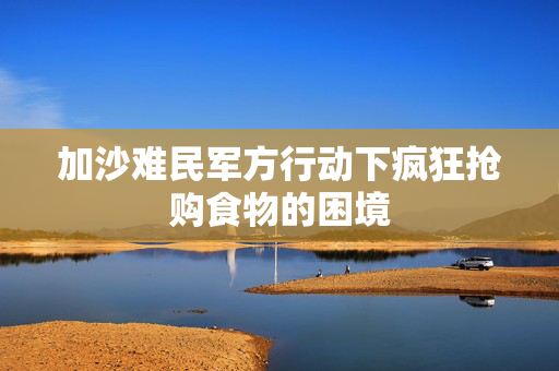 加沙难民军方行动下疯狂抢购食物的困境