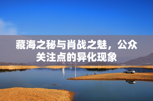 藏海之秘与肖战之魅，公众关注点的异化现象