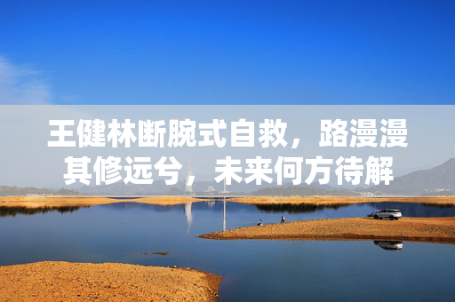 王健林断腕式自救，路漫漫其修远兮，未来何方待解