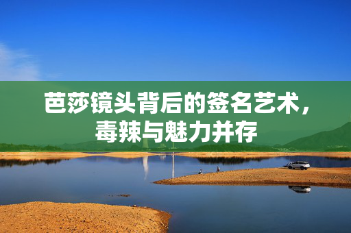 芭莎镜头背后的签名艺术，毒辣与魅力并存