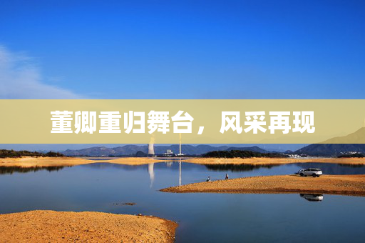 董卿重归舞台，风采再现
