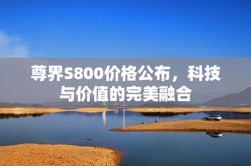 尊界S800价格公布，科技与价值的完美融合