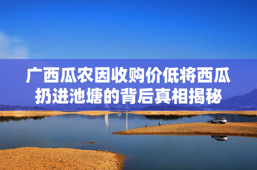 广西瓜农因收购价低将西瓜扔进池塘的背后真相揭秘