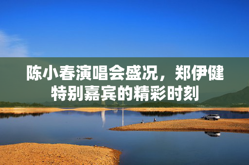 陈小春演唱会盛况，郑伊健特别嘉宾的精彩时刻
