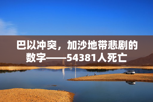 巴以冲突，加沙地带悲剧的数字——54381人死亡
