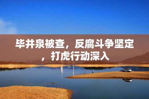 毕井泉被查，反腐斗争坚定，打虎行动深入