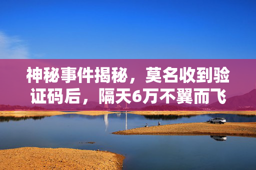 神秘事件揭秘，莫名收到验证码后，隔天6万不翼而飞