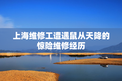上海维修工遭遇鼠从天降的惊险维修经历
