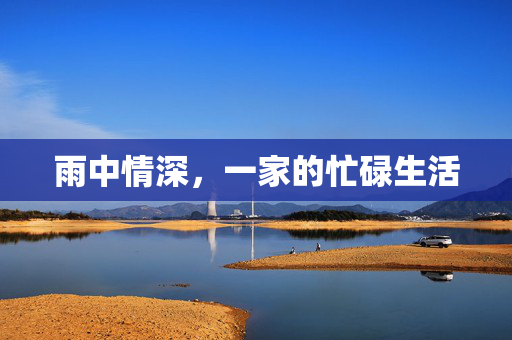 雨中情深，一家的忙碌生活