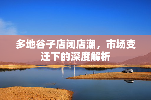 多地谷子店闭店潮，市场变迁下的深度解析