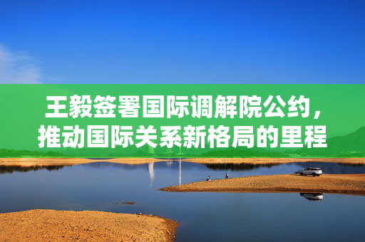 王毅签署国际调解院公约，推动国际关系新格局的里程碑