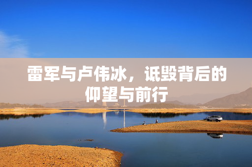 雷军与卢伟冰，诋毁背后的仰望与前行