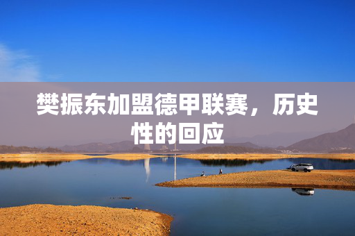 樊振东加盟德甲联赛，历史性的回应