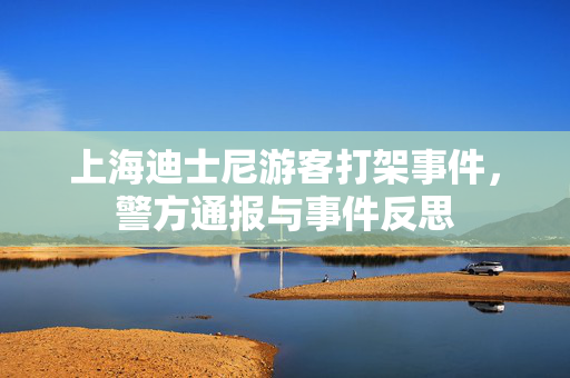 上海迪士尼游客打架事件，警方通报与事件反思