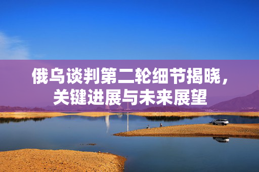 俄乌谈判第二轮细节揭晓，关键进展与未来展望