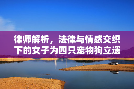 律师解析，法律与情感交织下的女子为四只宠物狗立遗嘱的背后