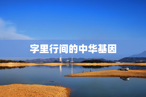 字里行间的中华基因