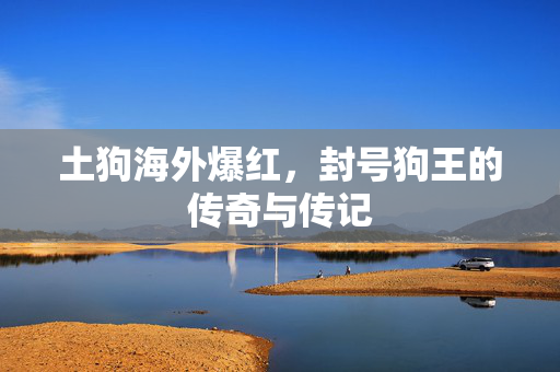 土狗海外爆红，封号狗王的传奇与传记