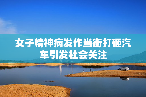 女子精神病发作当街打砸汽车引发社会关注