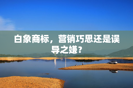 白象商标，营销巧思还是误导之嫌？