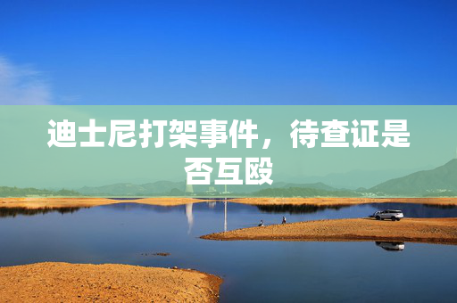 迪士尼打架事件，待查证是否互殴